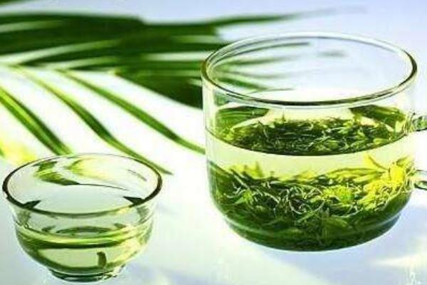 迷迭香茶的功效與作用及禁忌 迷迭香茶能天天喝嗎