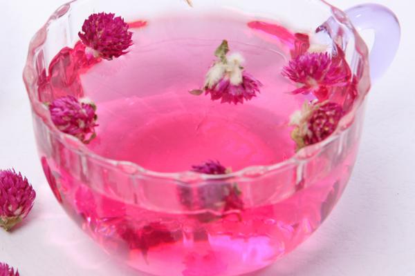 千日紅怎么種 千日紅種植方法與注意事項