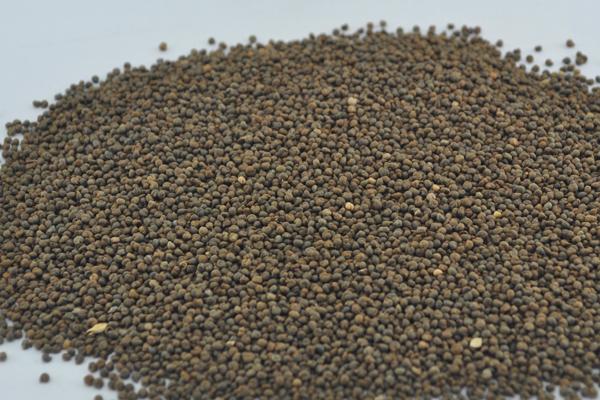 醉蝶花種子市場價格多少錢一斤 醉蝶花種子怎么種