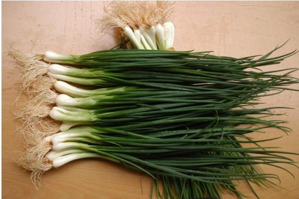 小香蔥市場價格多少錢一斤  小香蔥的作用