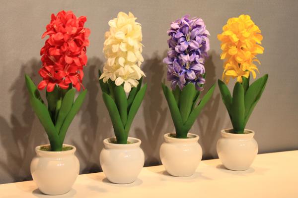 風信子怎么繁殖 風信子怎么澆水（多久澆一次）