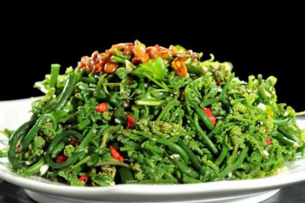 水蕨菜和山蕨菜的區別是什么 水蕨菜有什么營養價值