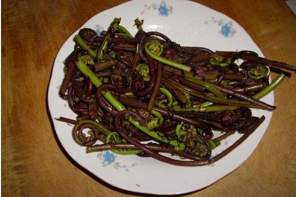 水蕨菜和山蕨菜的區別是什么 水蕨菜有什么營養價值