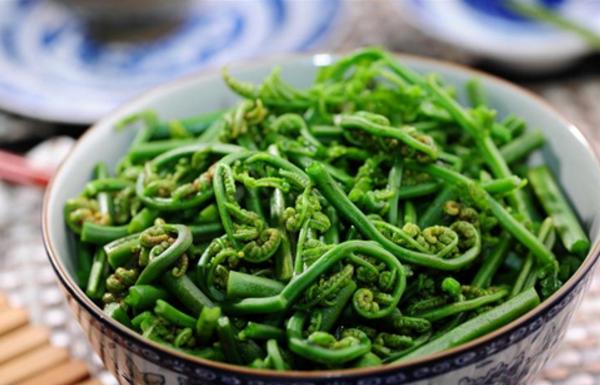 水蕨菜和山蕨菜的區別是什么 水蕨菜有什么營養價值