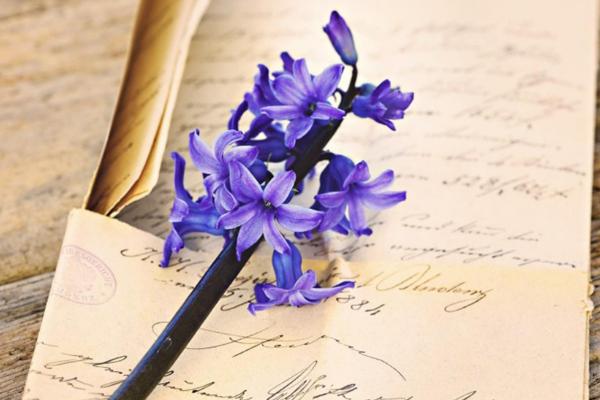 風信子怎么養 風信子養殖方法與注意事項