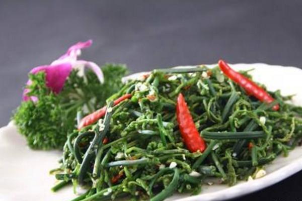 水蕨有毒嗎 水蕨怎么做好吃