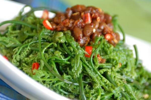 水蕨有毒嗎 水蕨怎么做好吃