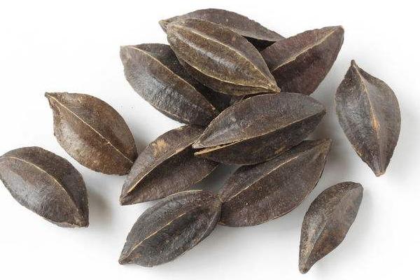 使君子功效與作用 使君子藥用價值