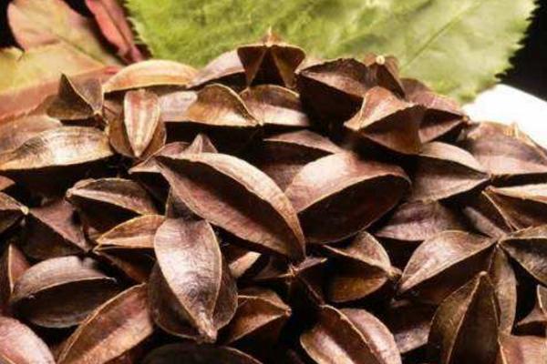 使君子功效與作用 使君子藥用價值