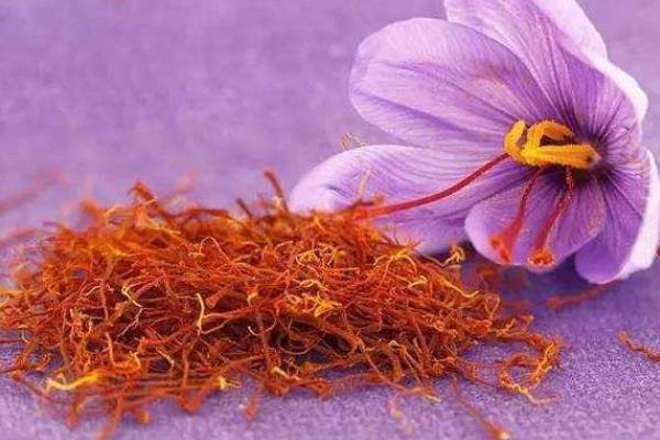 藏紅花真假怎么鑒別 藏紅花能用冷水泡嗎