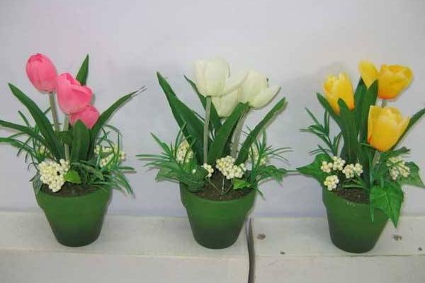 郁金香有毒嗎 郁金香能放在室內(nèi)臥室嗎