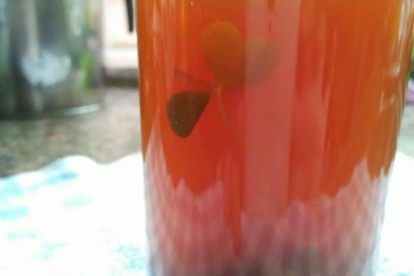 酢漿草的功效與作用 酢漿草藥用價值