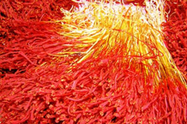 一克藏紅花有多少根 藏紅花可以每天喝嗎