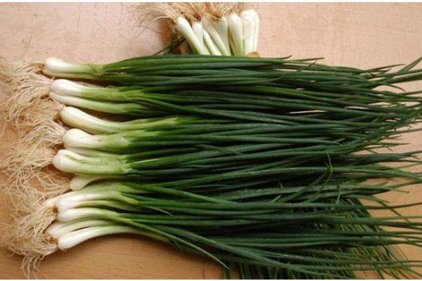 小香蔥種子市場價格多少錢一斤 香蔥陽臺盆栽種植方法