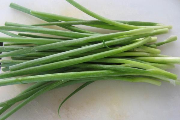 小香蔥種子市場價格多少錢一斤 香蔥陽臺盆栽種植方法