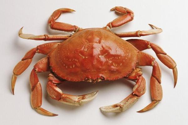 橘子吃多了會怎樣 胃不好能吃橘子嗎