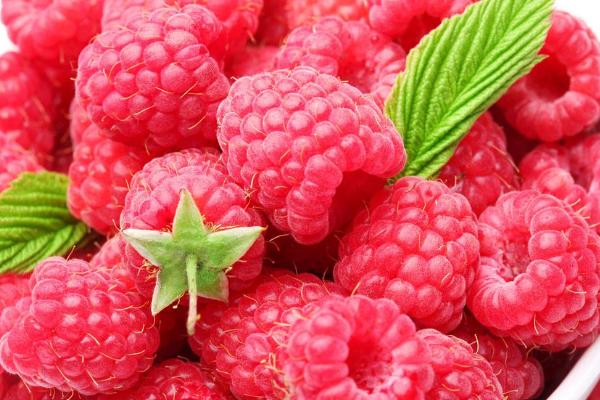 覆盆子和山莓的區別是什么 覆盆子的功效與作用