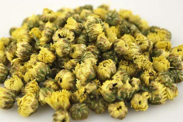 胎菊茶的功效與作用 胎菊泡水后變綠的原因