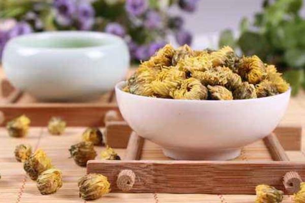 胎菊和普通菊花的區別是什么  杭白菊和胎菊的區別