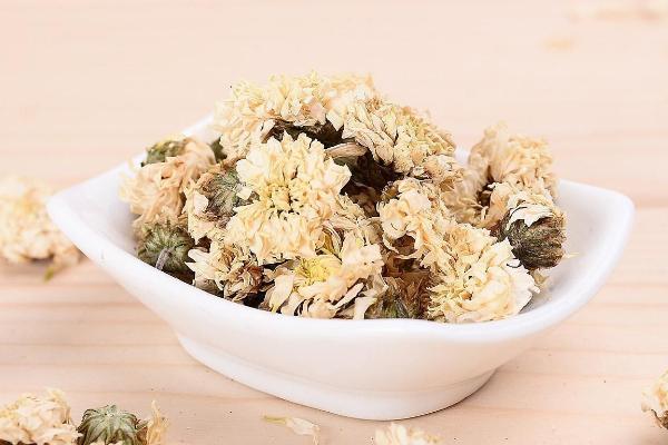 貢菊的功效與作用及禁忌 貢菊的藥用價值