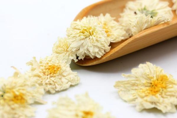 貢菊市場價格多少錢一斤 貢菊的好處有哪些