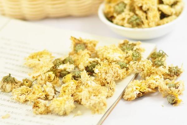 貢菊市場價格多少錢一斤 貢菊的好處有哪些