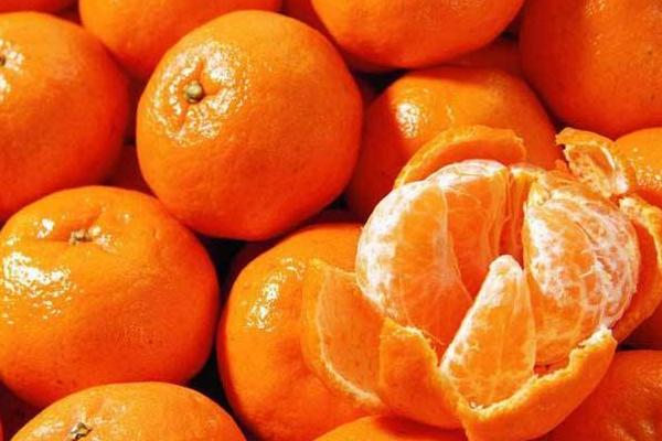 橘子花什么時候開花 橘子汁怎么榨