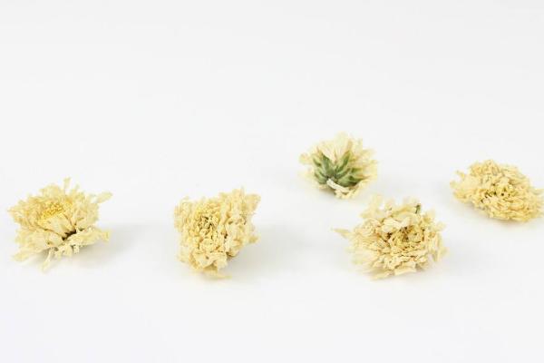 菊花的功效與作用 菊花的藥用價值