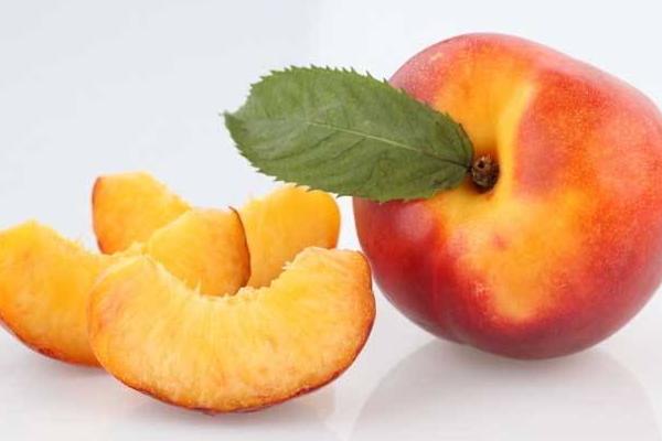 油桃什么時候上市(幾月成熟) 油桃是什么季節的水果