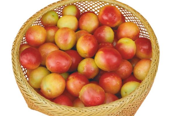 油桃什么時候上市(幾月成熟) 油桃是什么季節的水果