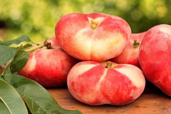 西游記里蟠桃會是什么時候 蟠桃會節日傳說