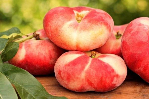 蟠桃怎么種 蟠桃種植方法與注意事項