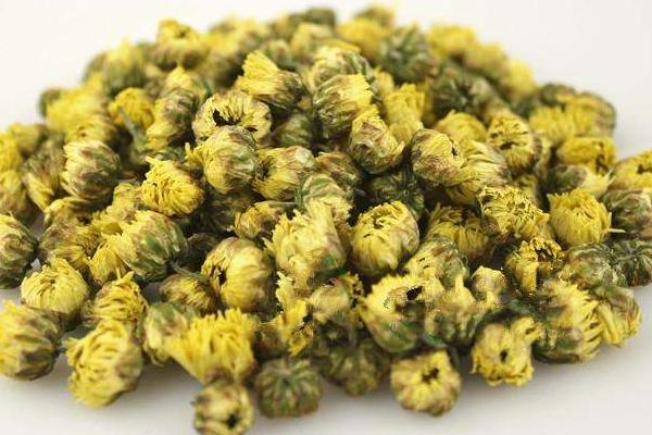 胎菊的功效與作用及禁忌 胎菊藥用價值