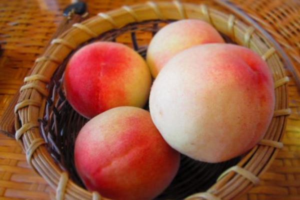 水蜜桃怎么吃 水蜜桃和什么榨汁比較好