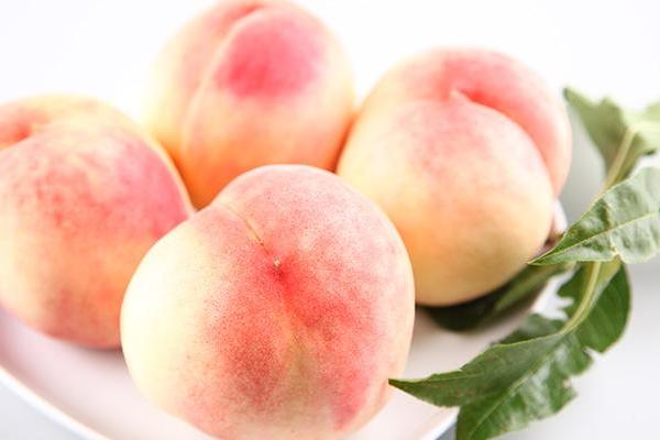 水蜜桃怎么種 水蜜桃種植方法與注意事項