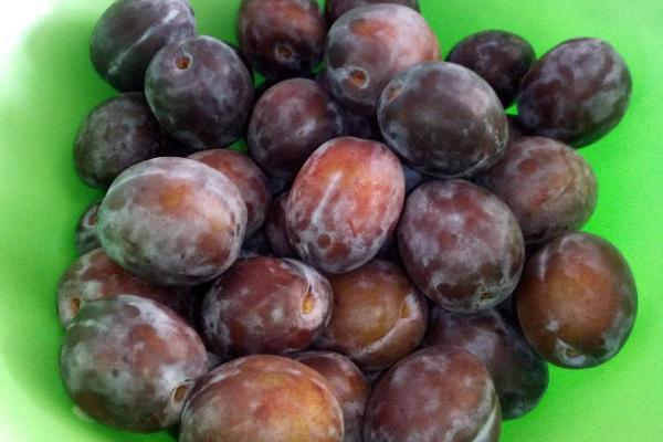 西梅怎么洗干凈 西梅怎么保存