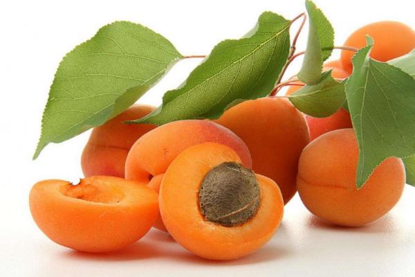 杏子和黃桃的區別是什么 杏的功效與作用