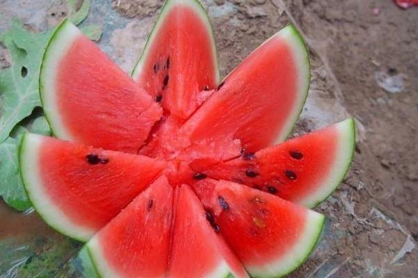 麒麟西瓜產地在哪里 麒麟瓜幾月熟(上市季節)