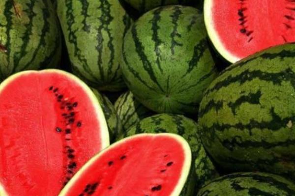 麒麟西瓜產地在哪里 麒麟瓜幾月熟(上市季節)