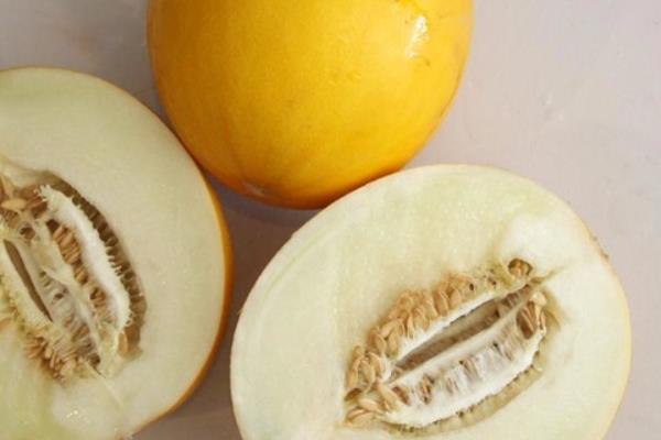 吃黃河蜜會不會上火 孕婦能吃黃河蜜嗎