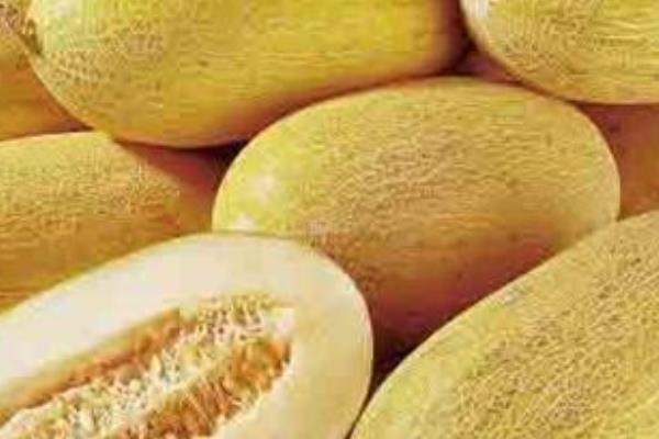 吃黃河蜜會不會上火 孕婦能吃黃河蜜嗎