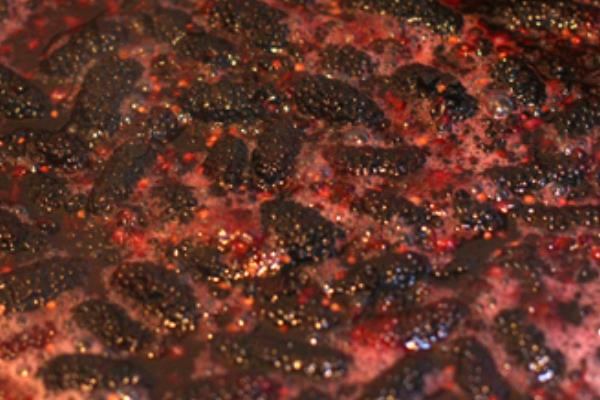 桑葚果醬的功效與作用 桑葚果醬可以存放多久