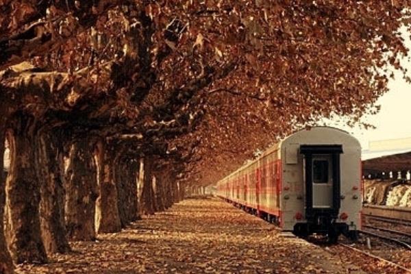 我去買幾個橘子是什么梗（出自哪里） “我去買幾個橘子”常見用法