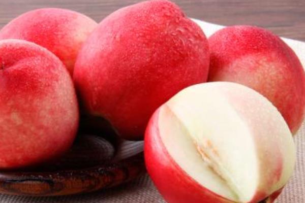 油桃圖片大全 油桃有哪些品種