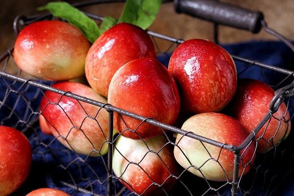 油桃圖片大全 油桃有哪些品種