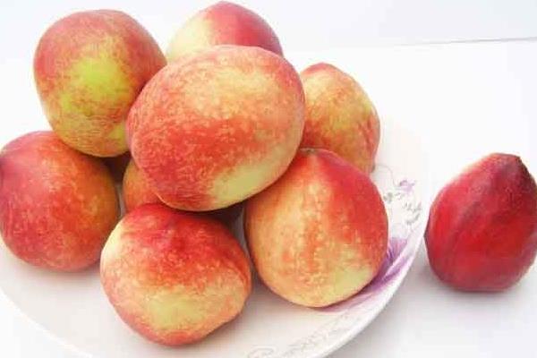 油桃圖片大全 油桃有哪些品種