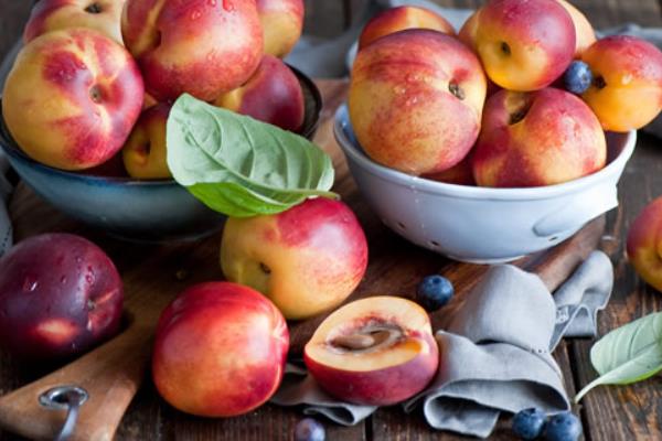 油桃圖片大全 油桃有哪些品種