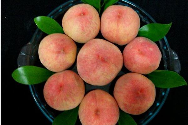 水蜜桃圖片大全 水蜜桃產地在哪里