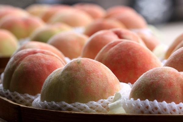 水蜜桃圖片大全 水蜜桃產地在哪里