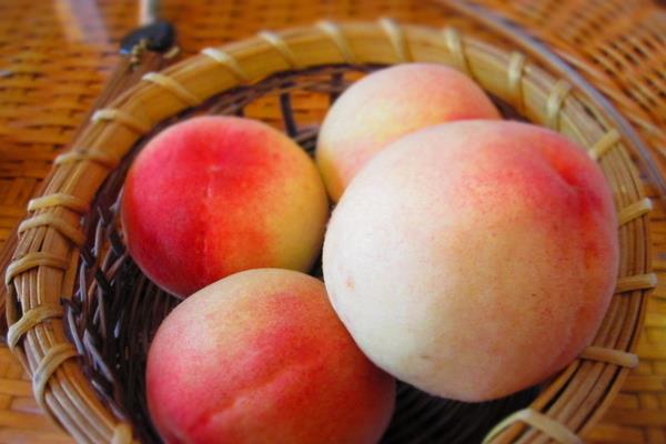 水蜜桃圖片大全 水蜜桃產地在哪里